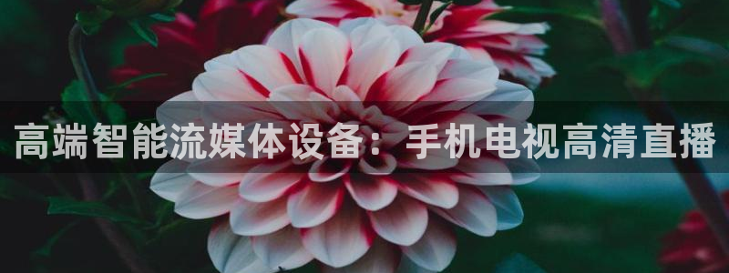 178免费看球：高端智能流媒体设备：手机电视高清直播